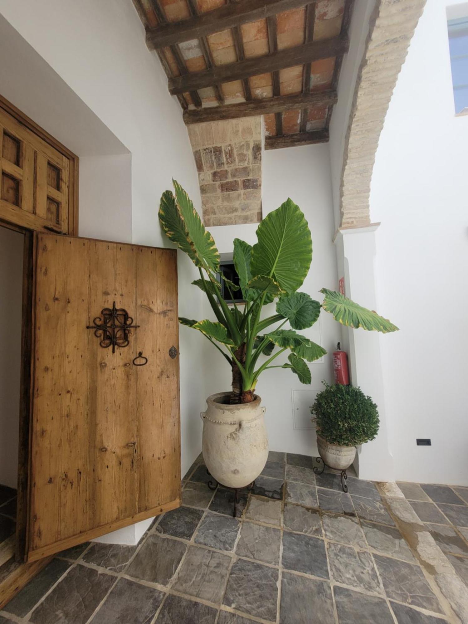 Apartamento Casa Del Museo - Agua Medina-Sidonia Exterior foto